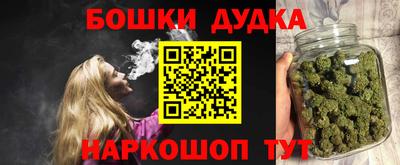 apvp Канаш