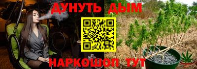apvp Канаш