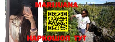 трава Кандалакша