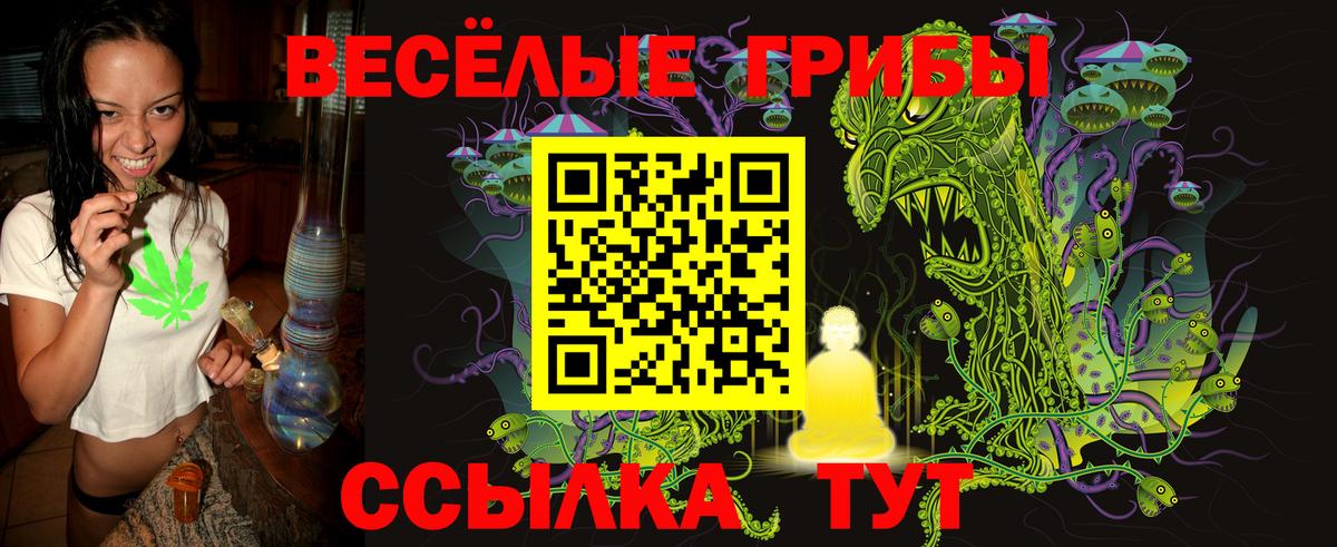 Галлюциногенные грибы мицелий  Галлюциногенные грибы GOLDEN TEACHER  Вход с VPN  Вологда 