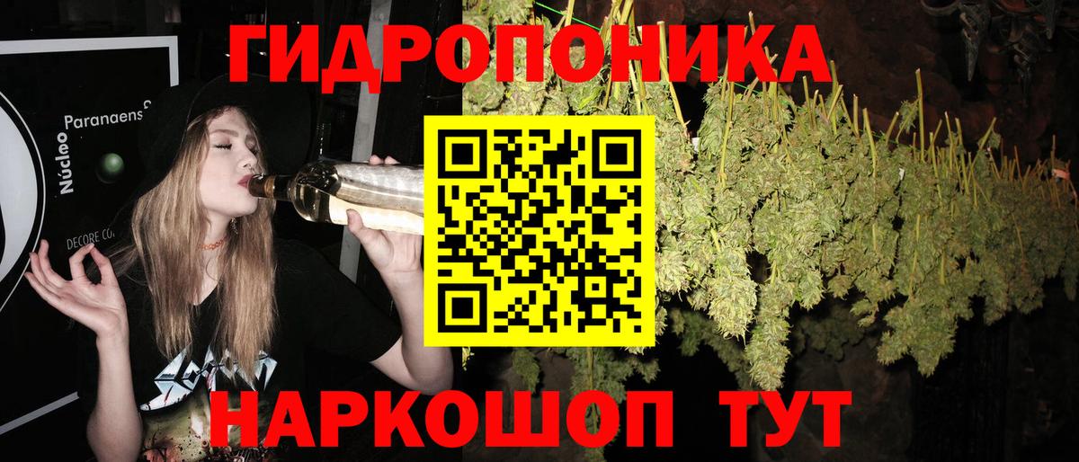 Канабис марихуана  Вход с VPN  МАРИХУАНА гибрид  Вологда  Бошки Шишки AK-47 